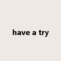 have a try是什么意思
