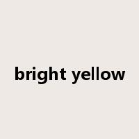 bright yellow是什么意思