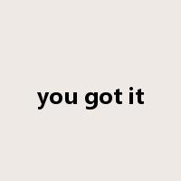 you got it是什么意思