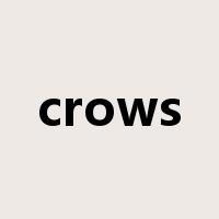 crows是什么意思