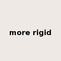 more rigid是什么意思