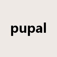 pupal是什么意思