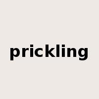prickling是什么意思