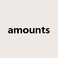 amounts是什么意思