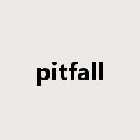 pitfall是什么意思