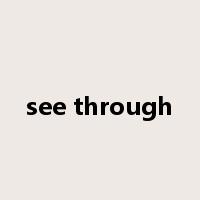 see through是什么意思