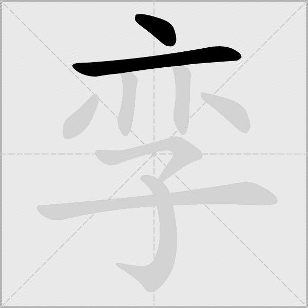 孪