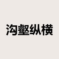 沟壑纵横是什么意思