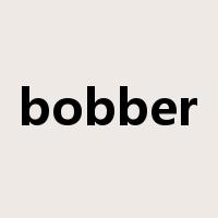 bobber是什么意思