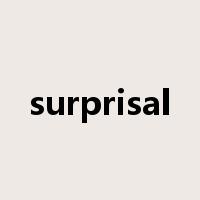 surprisal是什么意思
