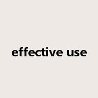 effective use是什么意思