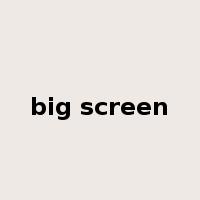 big screen是什么意思