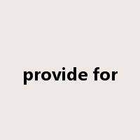 provide for是什么意思