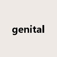 genital是什么意思