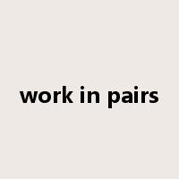work in pairs是什么意思