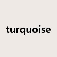 turquoise是什么意思