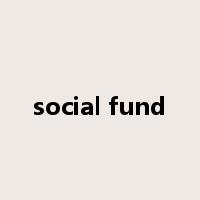 social fund是什么意思