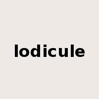 lodicule是什么意思