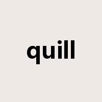 quill是什么意思