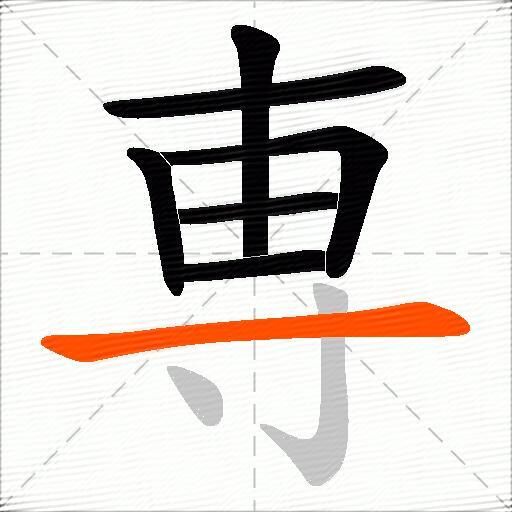 専