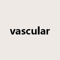 vascular是什么意思