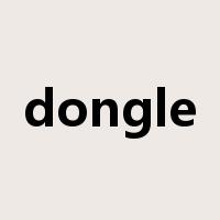 dongle是什么意思