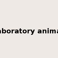 laboratory animal是什么意思