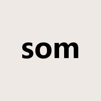 som是什么意思