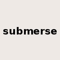 submerse是什么意思