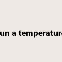 run a temperature是什么意思