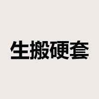 生搬硬套是什么意思