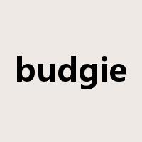 budgie是什么意思