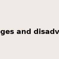 advantages and disadvantages是什么意思
