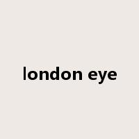 london eye是什么意思