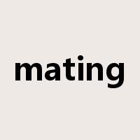 mating是什么意思
