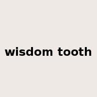 wisdom tooth是什么意思