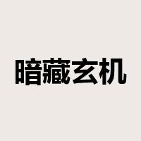 暗藏玄机是什么意思