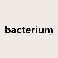 bacterium是什么意思