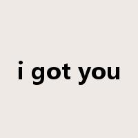 i got you是什么意思