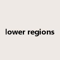 lower regions是什么意思
