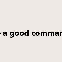 have a good command of是什么意思