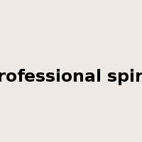 professional spirit是什么意思