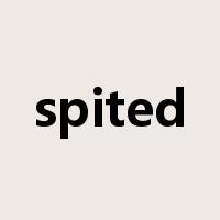 spited是什么意思