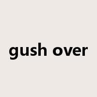 gush over是什么意思