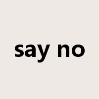 say no是什么意思