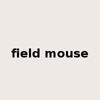 field mouse是什么意思