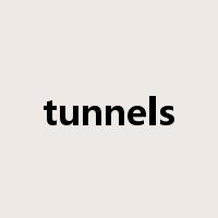 tunnels是什么意思