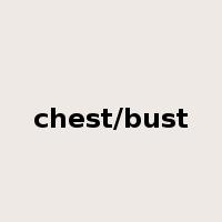 chest/bust是什么意思