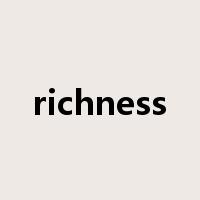richness是什么意思