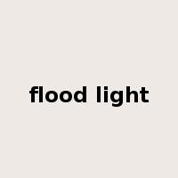 flood light是什么意思